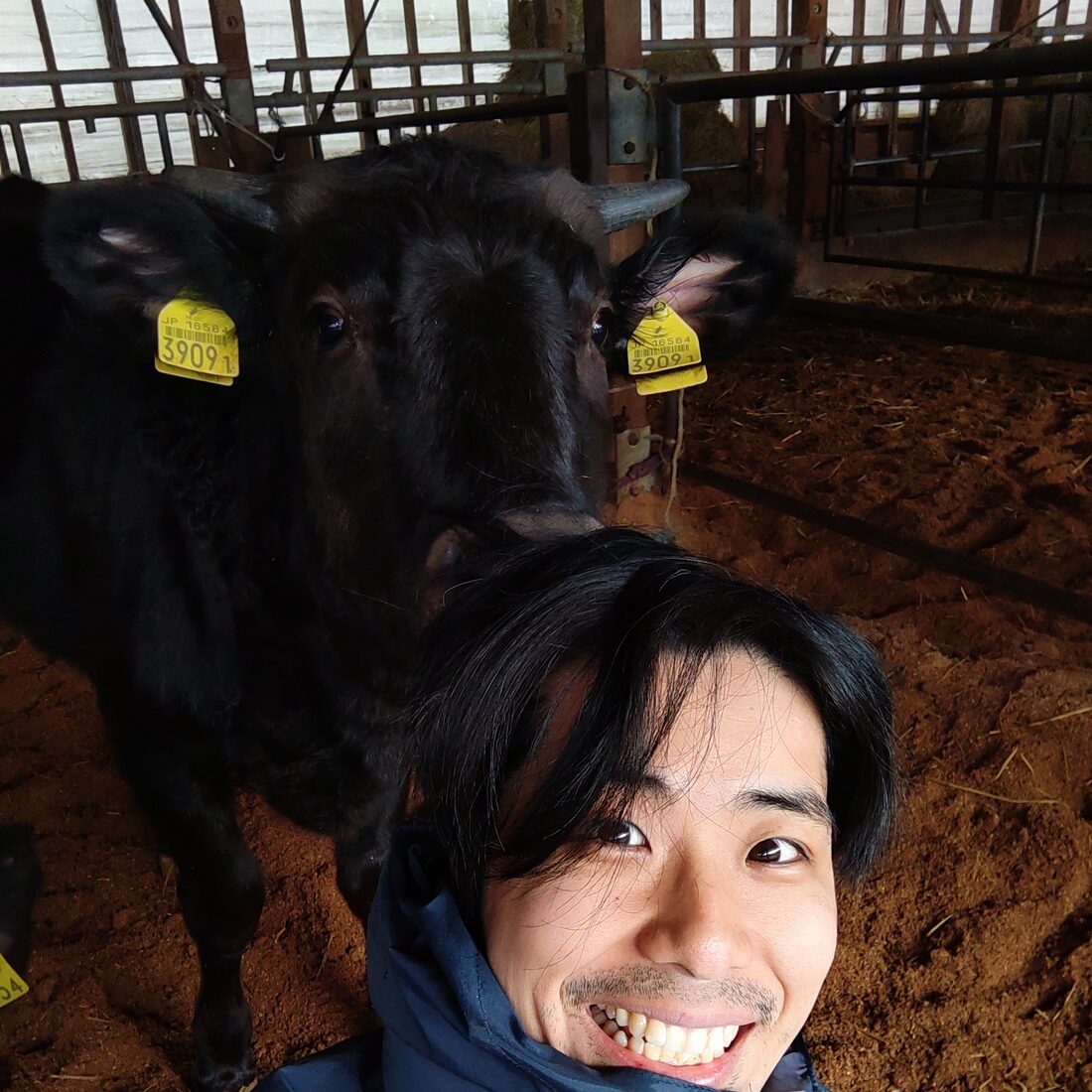 牛舎で牛とともに写る山岡量真さん