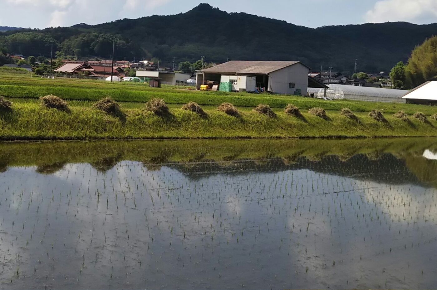 安芸高田市の田園と山並み